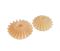 Шестерні для кухонного Kenwood 2шт оригінальна KW717212